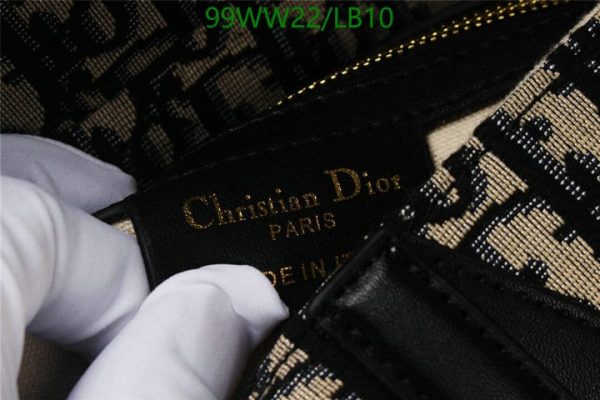 Christian Dior AAA+ Replica Canvas Party Crossbody Bag LB13164297546