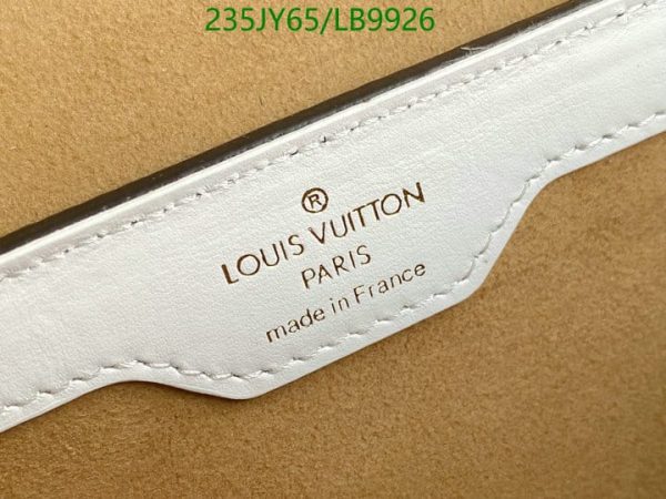 Louis Vuitton 1:1 Mirror Replica Canvas Papillon Trunk Bag LB99261156437