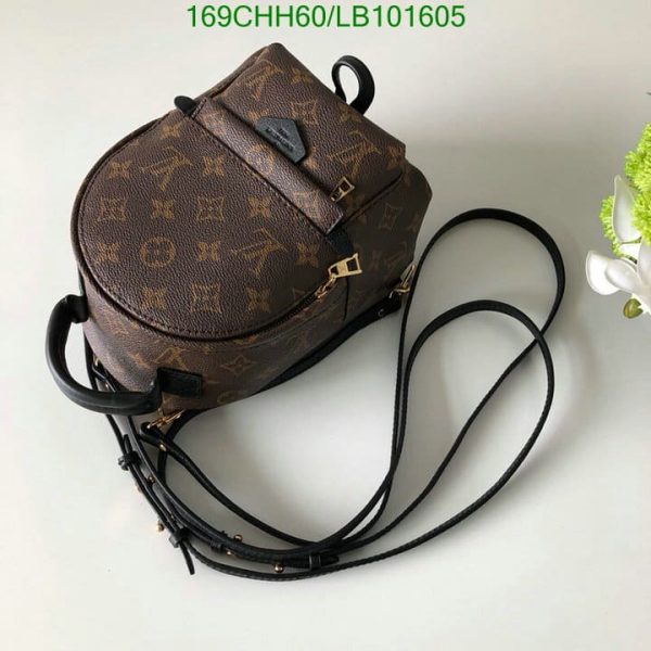 Louis Vuitton 1:1 Mirror Replica Palm Springs Backpack LB10160512458