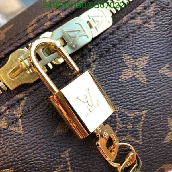 Louis Vuitton 1:1 Mirror Replica Speedy Bandouliere Dog Print Bag LB07022123658