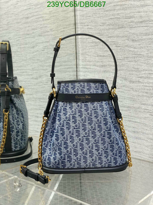 Christian Dior 1:1 Mirror Denim Medium C’est Dior Bag