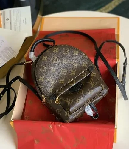 Louis Vuitton 1:1 Mirror Replica Monogram Reverse Palm Springs Mini Backpack Louis Vuitton Replica Palm Springs