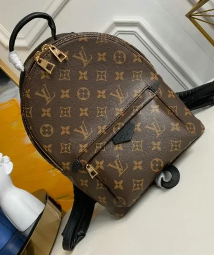 Louis Vuitton 1:1 Mirror Replica Palm Springs PM Backpack Monogram Louis Vuitton Replica Palm Springs