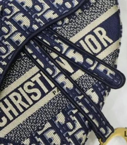 Dior 1:1 Mirror Replica Medium Oblique Embroidered Saddle 25CM/9.8IN Christian Dior Replica Saddles