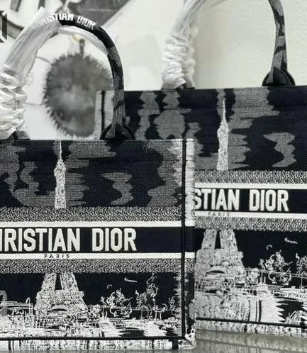 Dior 1:1 Mirror Replica Embroidered Canvas Paris Book Tote Black/White Christian Dior Replica Book Totes