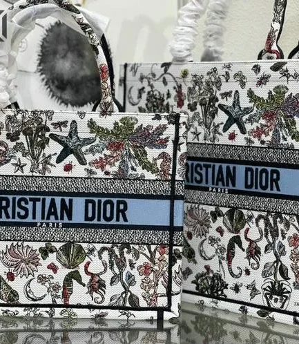 Dior 1:1 Mirror Replica Book Tote Cabinet de Curiosités Latte Multicolor Christian Dior Replica Book Totes