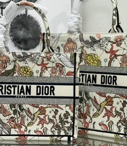 Dior 1:1 Mirror Replica Animaux Fantastiques Book Tote Multicolor 42CM/16.5IN Christian Dior Replica Book Totes