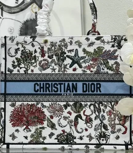 Dior 1:1 Mirror Replica Book Tote Cabinet de Curiosités Latte Multicolor Christian Dior Replica Book Totes
