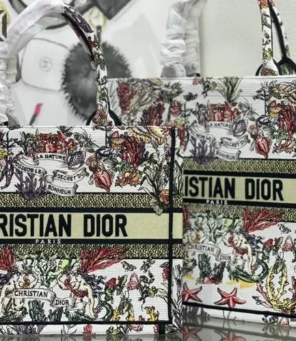 Dior 1:1 Mirror Replica Embroidery Canvas Paris Signature Book Tote Christian Dior Replica Book Totes