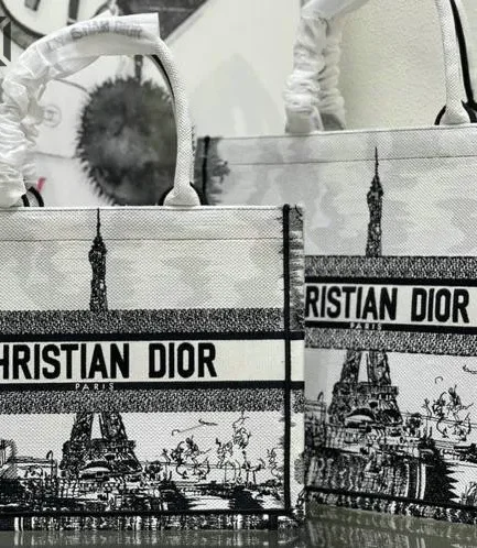 Dior 1:1 Mirror Replica Embroidered North Paris White Book Tote Christian Dior Replica Book Totes