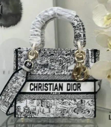 Dior 1:1 Mirror Replica Paris All Over Lady D-Lite White/Black 24CM/9.4IN Christian Dior Replica Lady