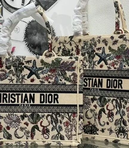 Dior 1:1 Mirror Replica Book Tote Beige Raffia Cabinet de Curiosités Motif Christian Dior Replica Book Totes
