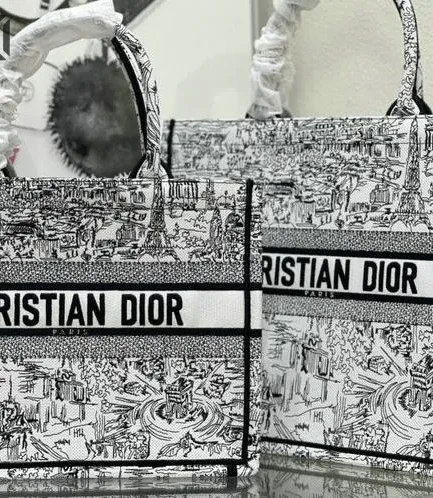 Dior 1:1 Mirror Replica Plan de Paris Embroidery Book Tote Black/White Christian Dior Replica Book Totes