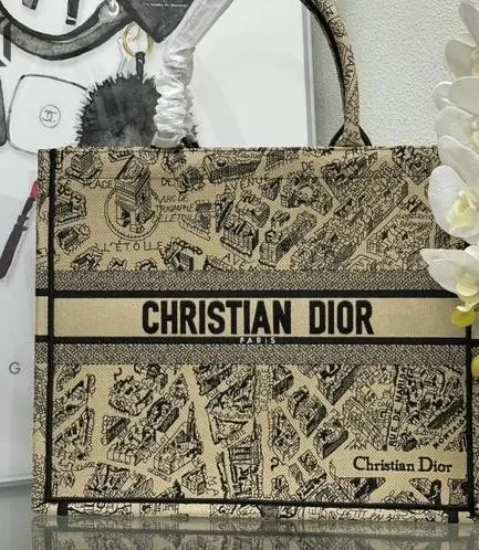 Dior 1:1 Mirror Replica Canvas Plan De Paris Book Tote Beige/Black 42CM/16.5IN Christian Dior Replica Book Totes