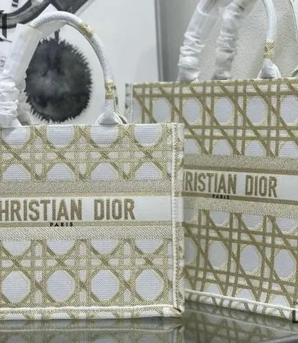 Dior 1:1 Mirror Replica Medium Dior Book Tote Paris signature Christian Dior Replica Book Totes