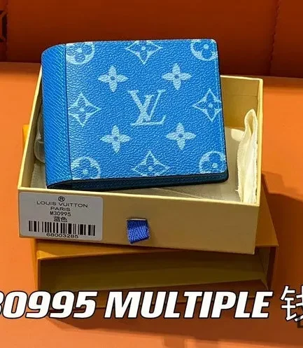 Louis Vuitton 1:1 Mirror Replica Taiga Multiple Wallet 11.5CM/4.5IN Louis Vuitton Replica Wallets